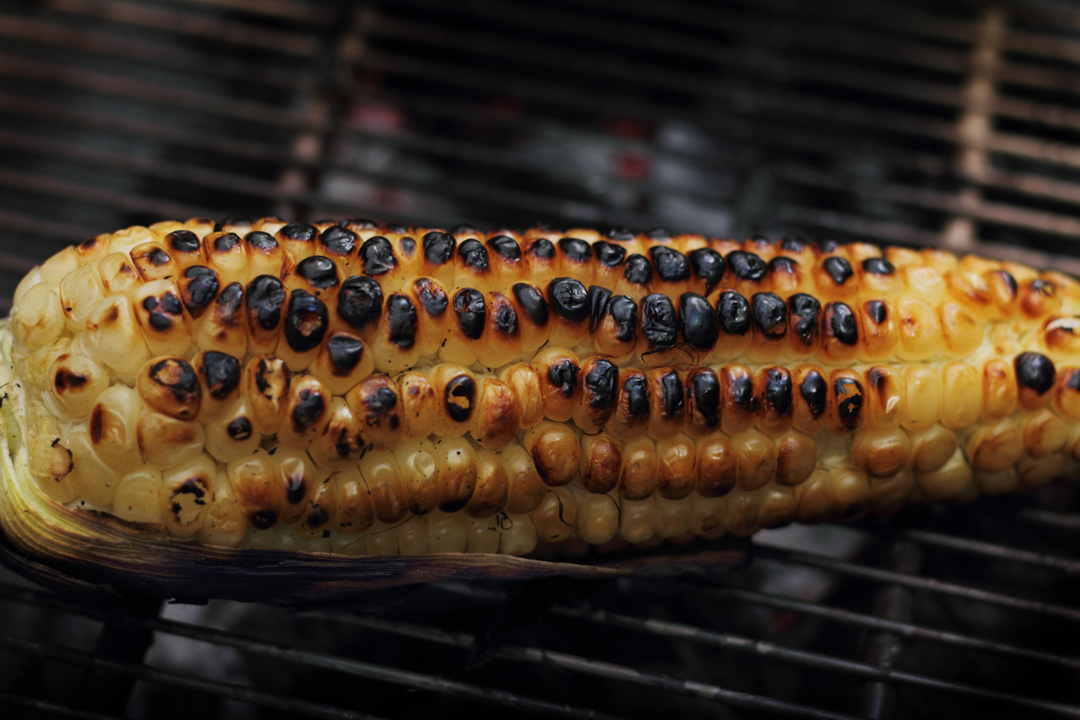 ELOTES ASADOS - Style by ShockVisual